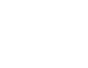 American Pain Partners logo